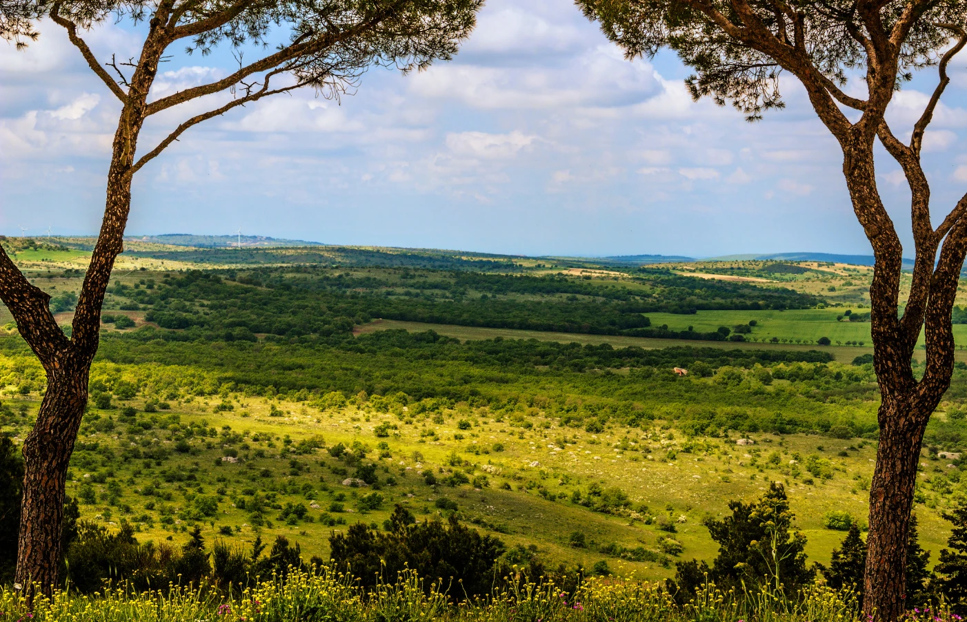 Gay Group Trip: Italy Villa Culinary Experience