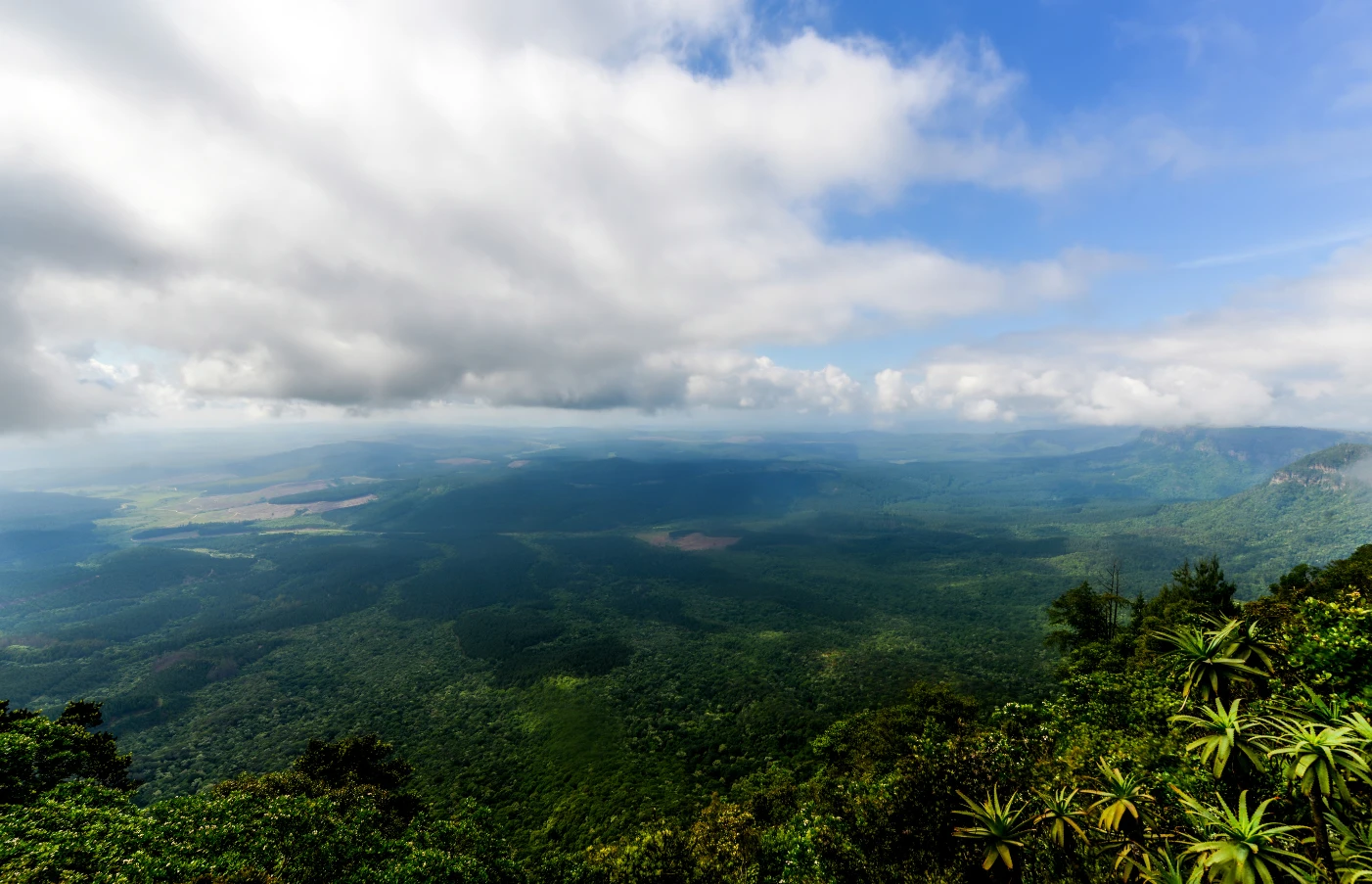 Day 1 to 3: Johannesburg and Mpumalanga
