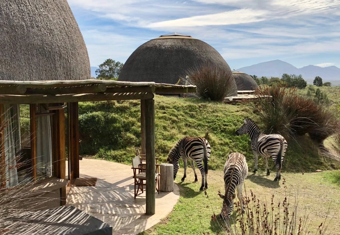 Gondwana Game Reserve
