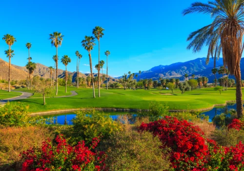 Greater Palm Springs