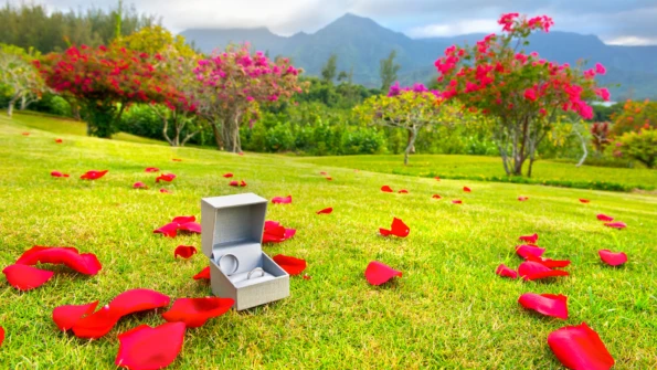 Hawaii Wedding and Honeymoon