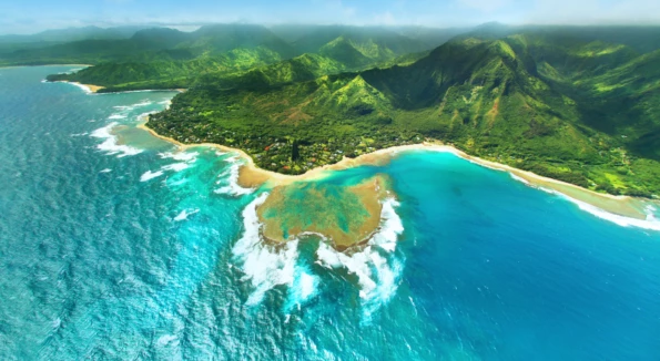 Hawaii Wedding and Honeymoon