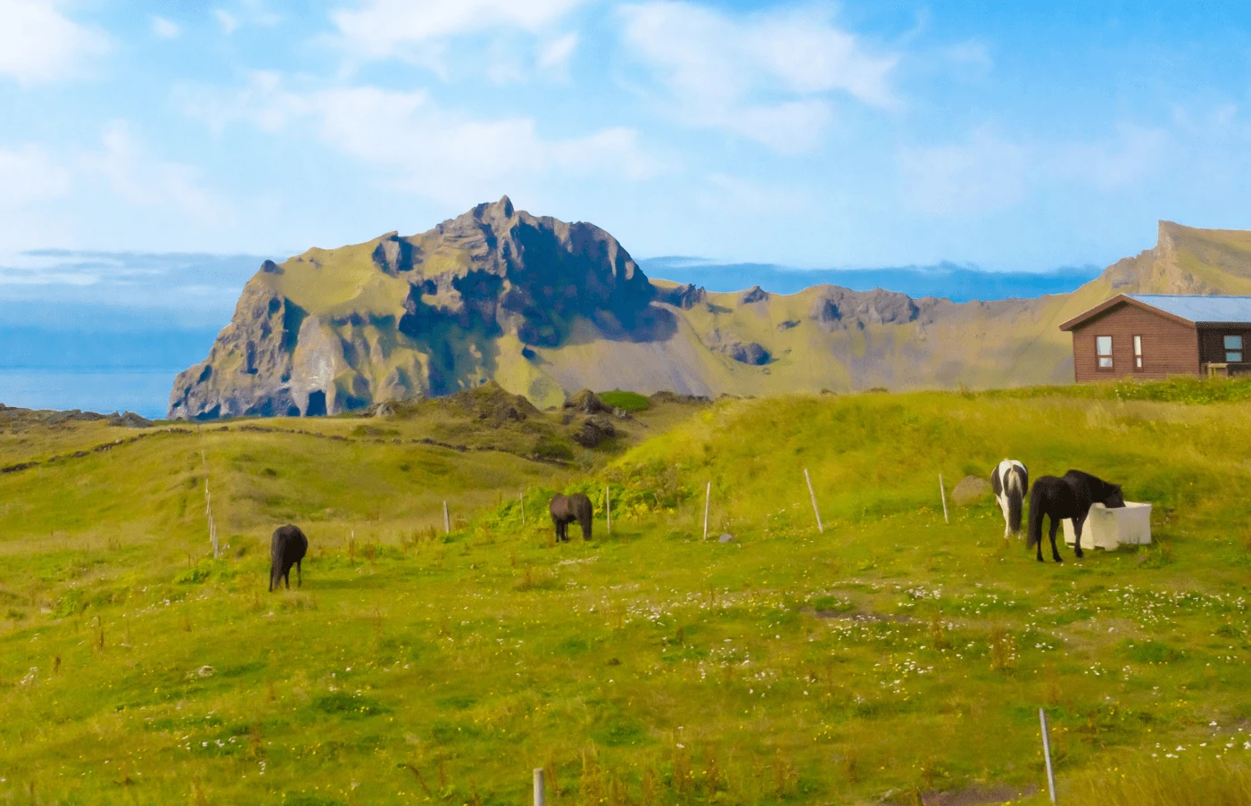 Heimaey, Westman Islands, Iceland