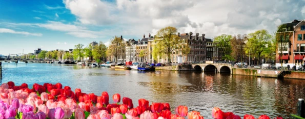 Classic Tour of The Netherlands