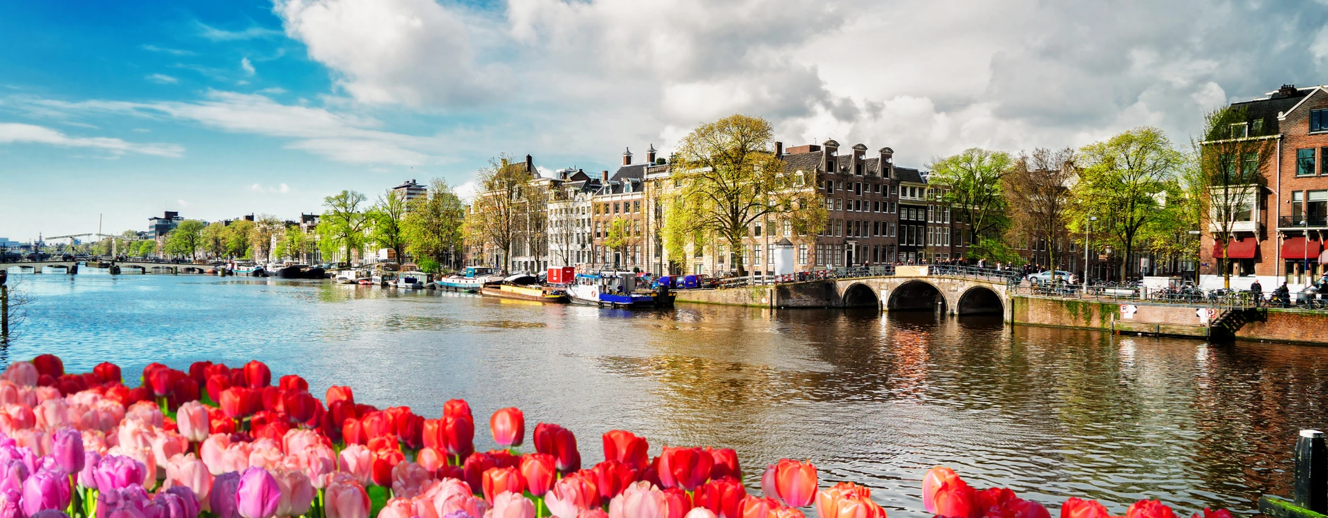 Classic Tour of The Netherlands