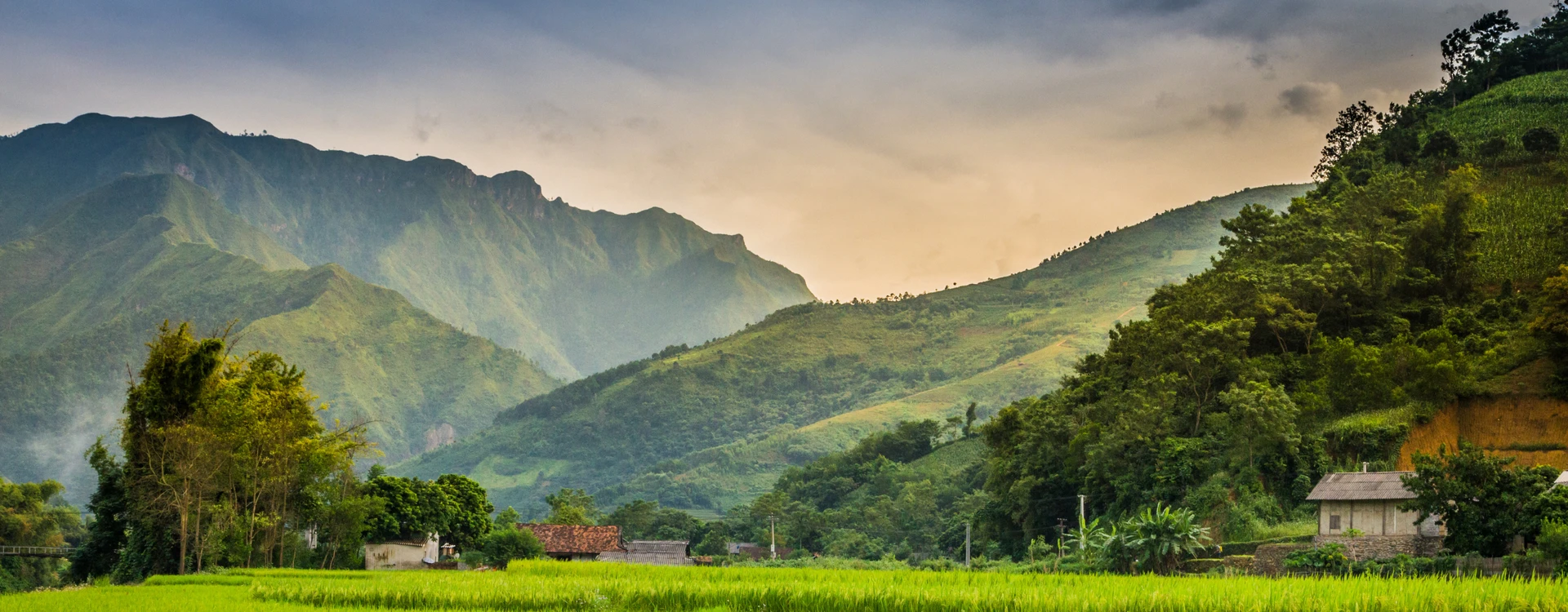 Luxury Vietnam Food Tour
