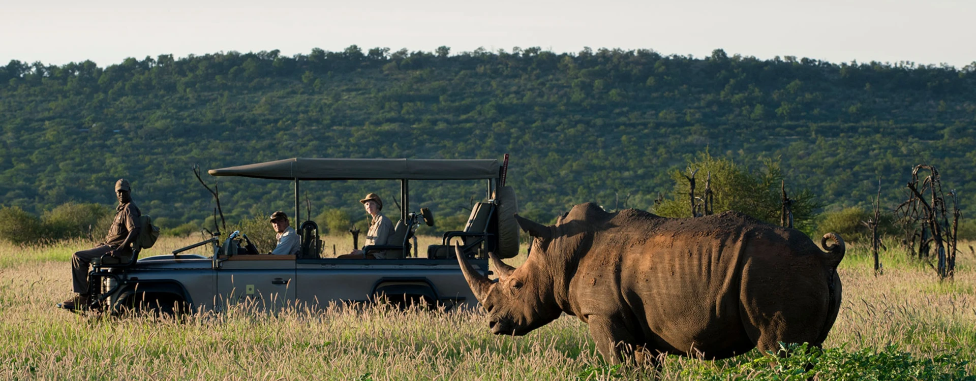 Classic South Africa: Big Five Safari