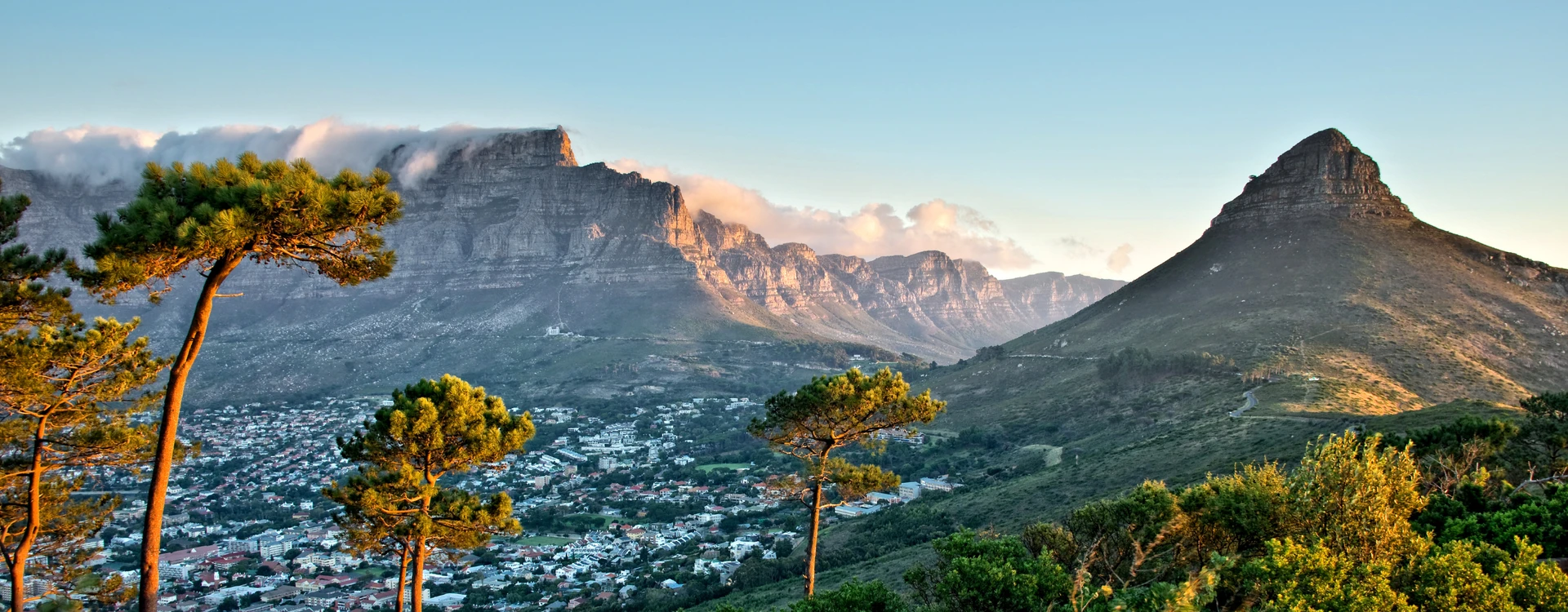 South Africa Food and Wine Tour