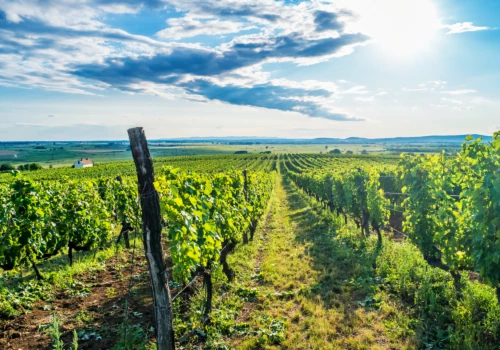Luxury gay vacations in Hungary