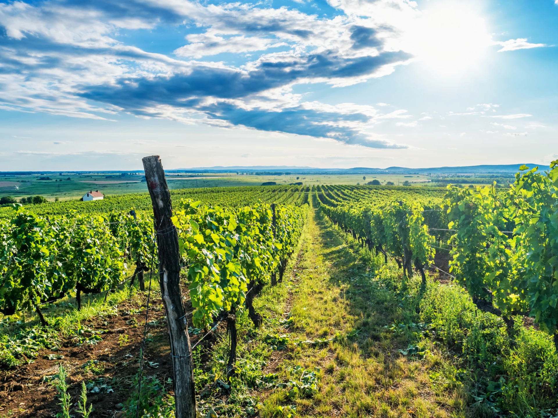 Luxury Hungary vacations