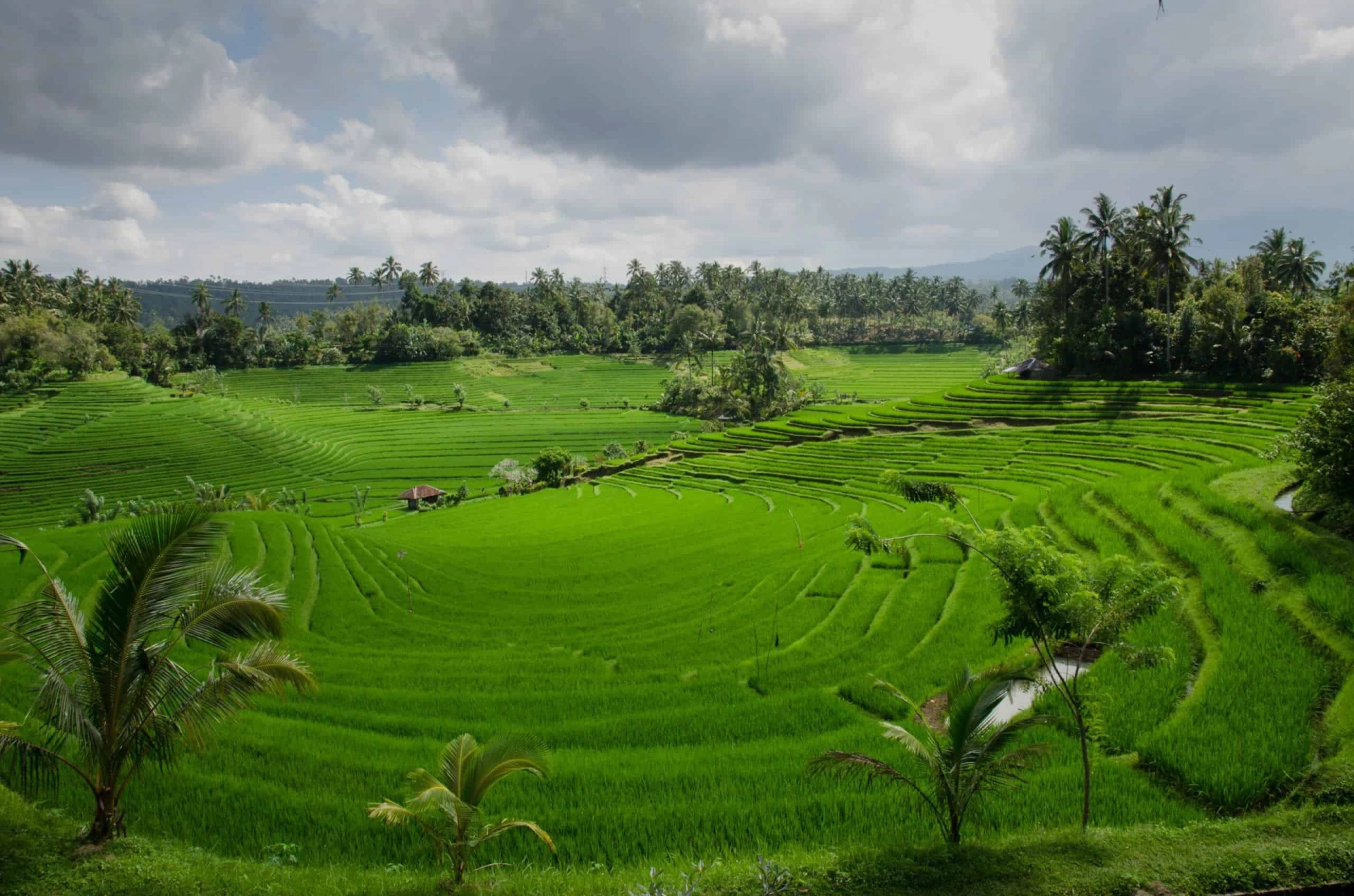 Day 5: Munduk to Umabian