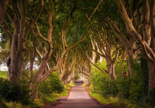 Ireland