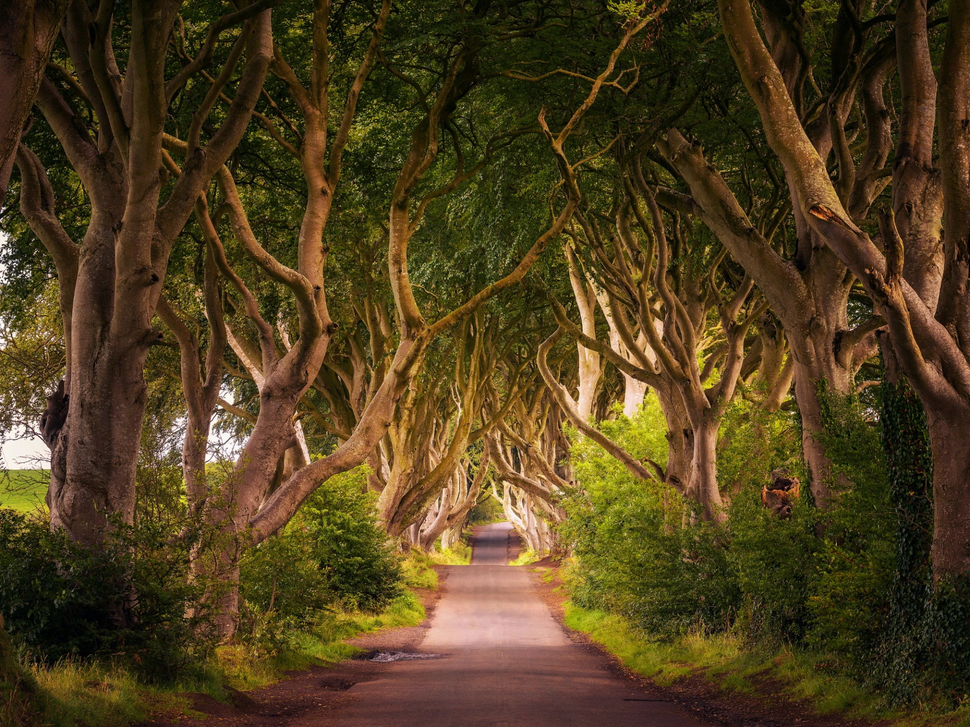 Luxury Ireland vacations