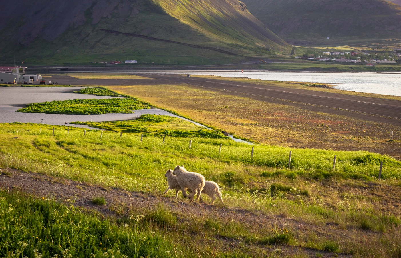 Day 8: Ísafjörður’s Hidden Gems