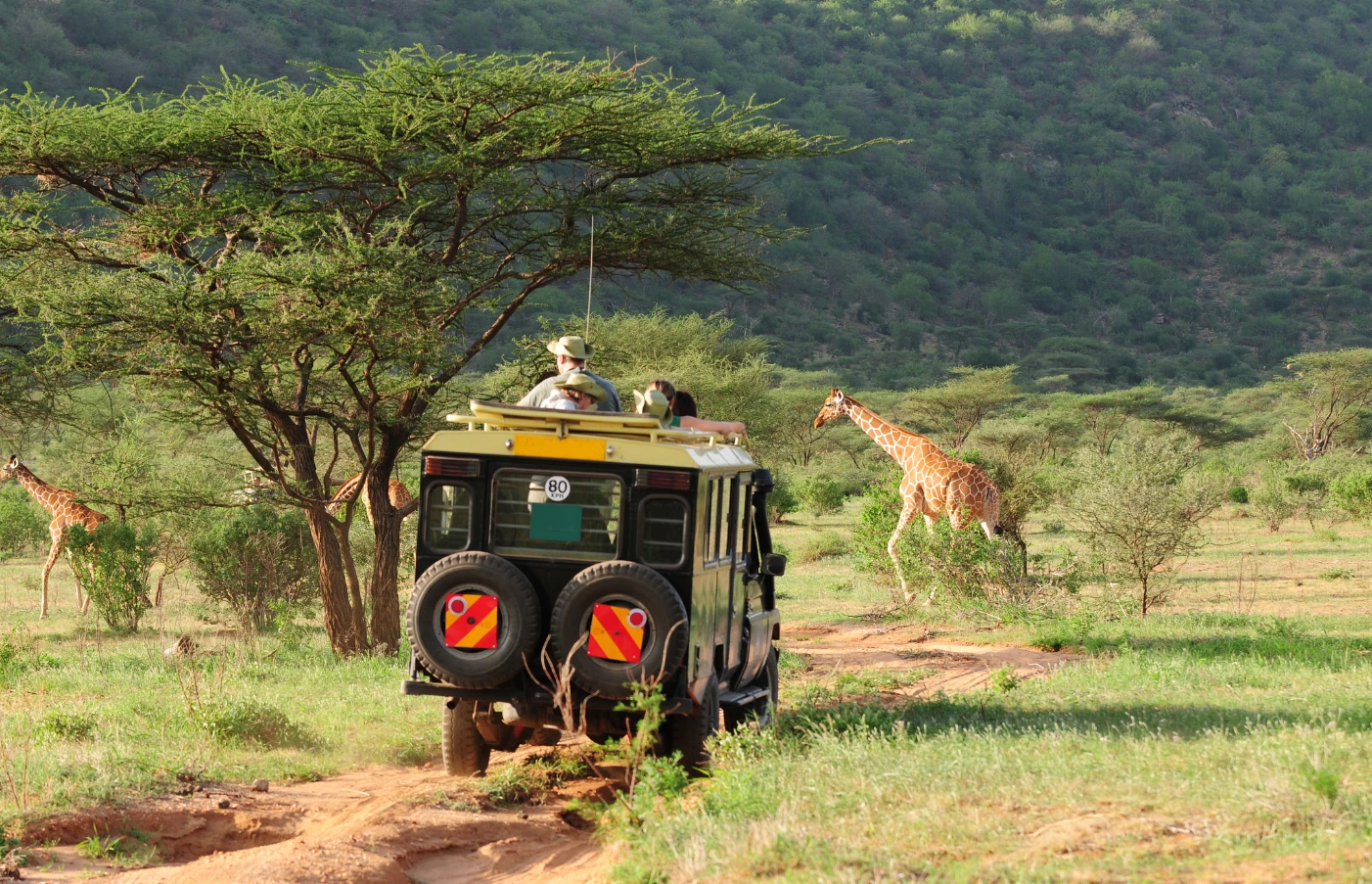 Gay Group Trip: Luxury Safari in Kenya