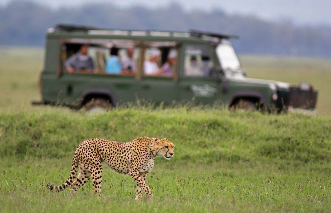 Gay Group Trip: Luxury Safari in Kenya