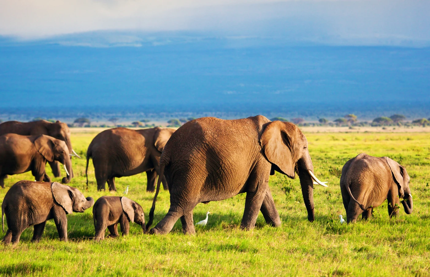 Gay Group Trip: Luxury Safari in Kenya