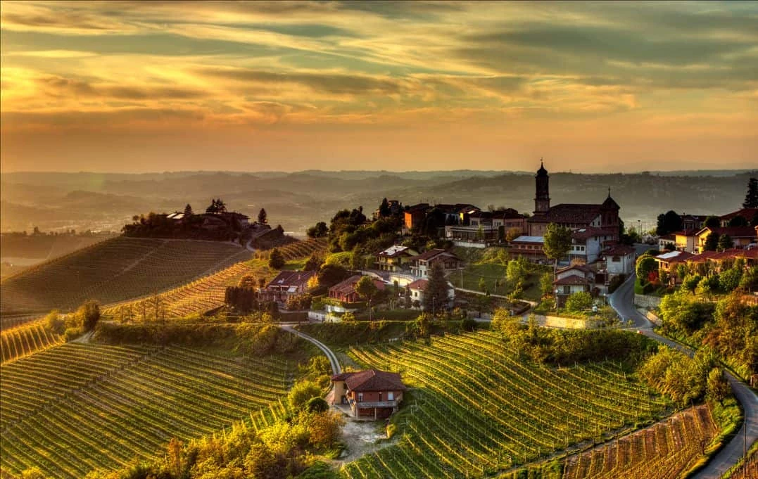 Wine Escape to Langhe, Barolo and Monferrato