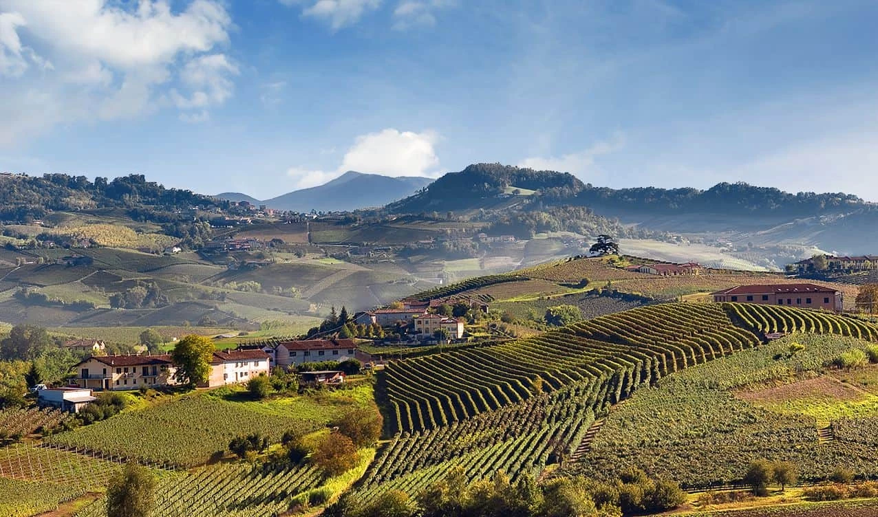 Wine Escape to Langhe, Barolo and Monferrato