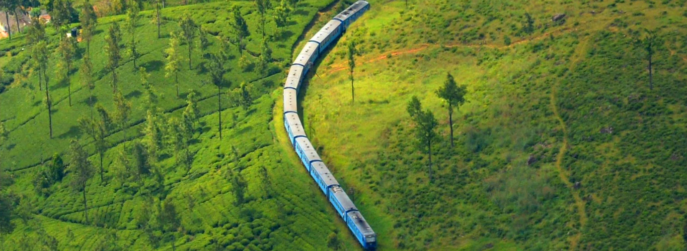 Tea country train