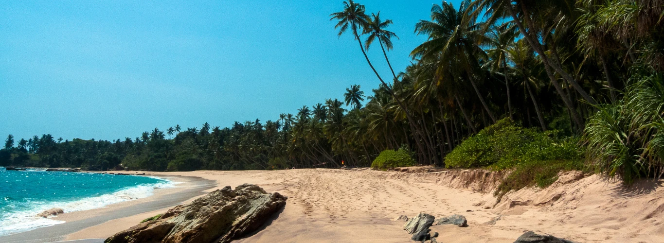Luxury Luxury Honeymoons in Sri Lanka 2025 & 2026 vacations