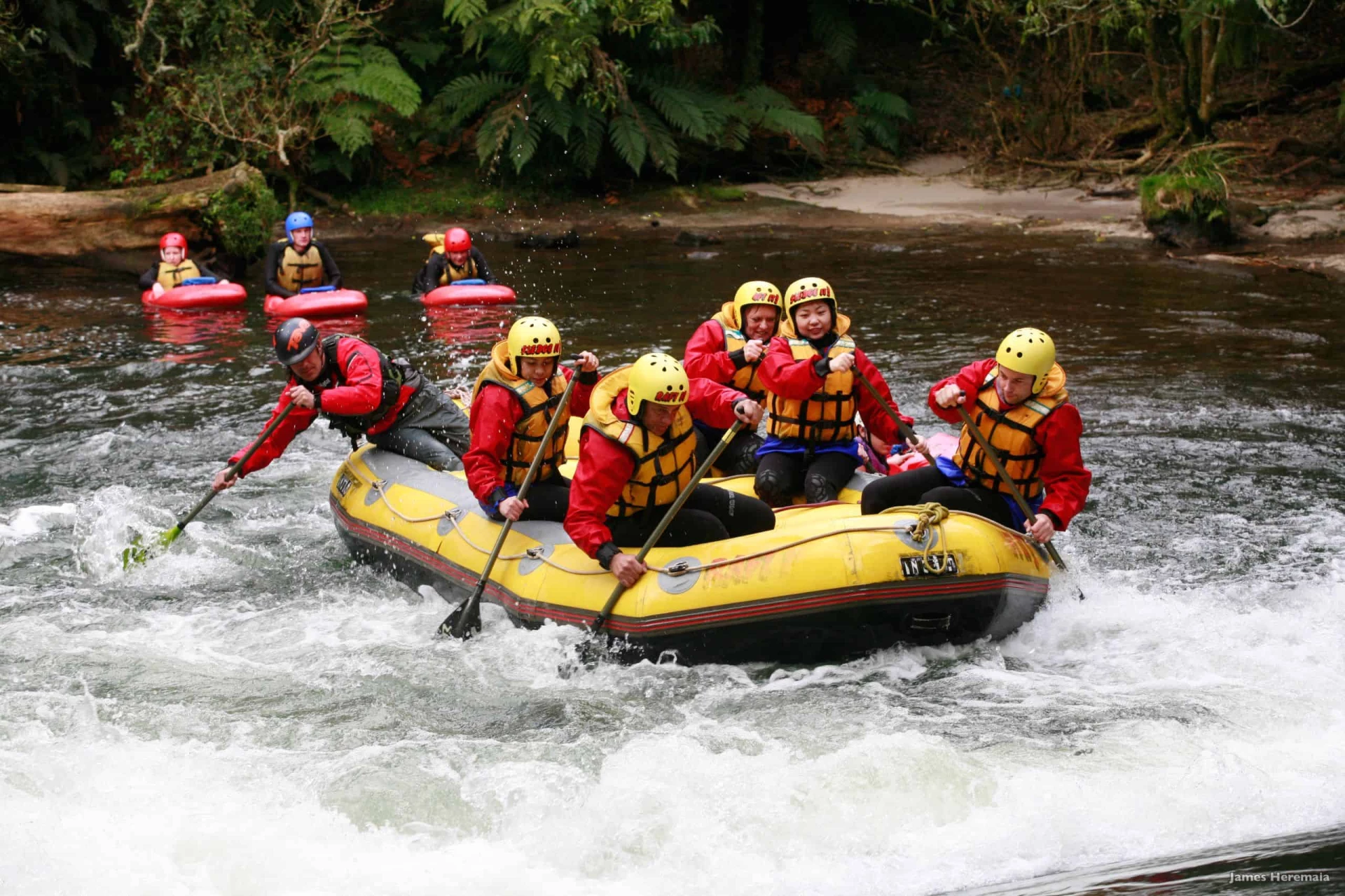 New Zealand Adventure