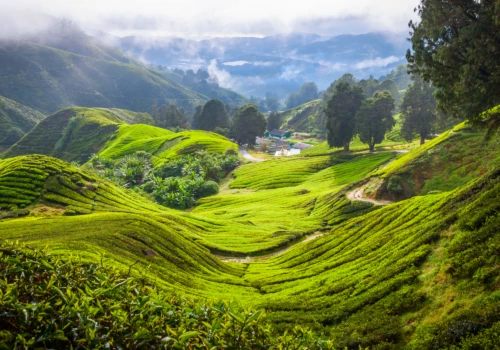 Luxury gay vacations in Malaysia