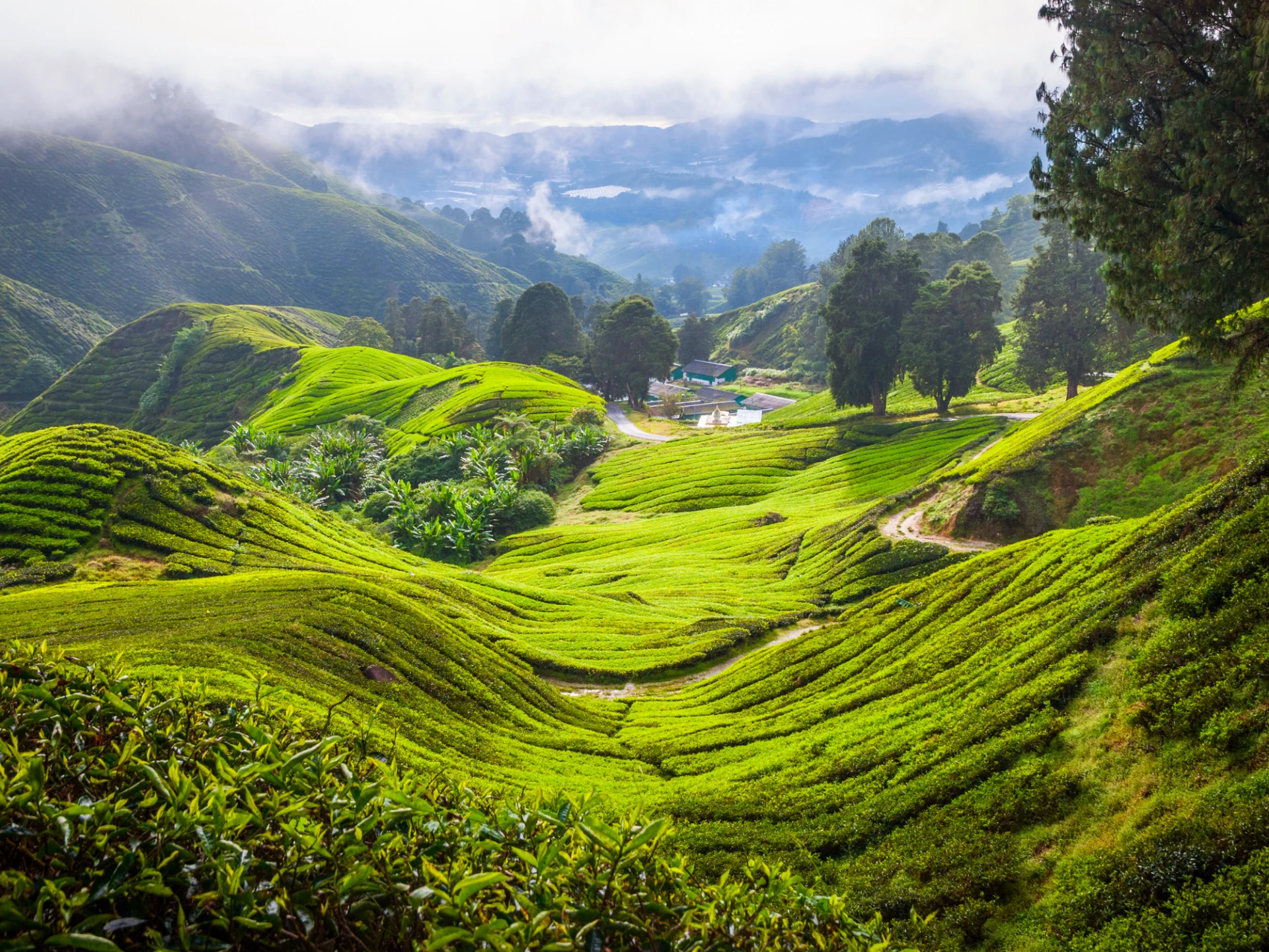 Luxury Malaysia vacations