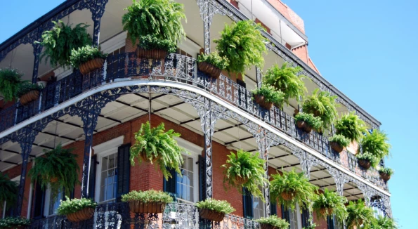 Mardi Gras 2025 In New Orleans
