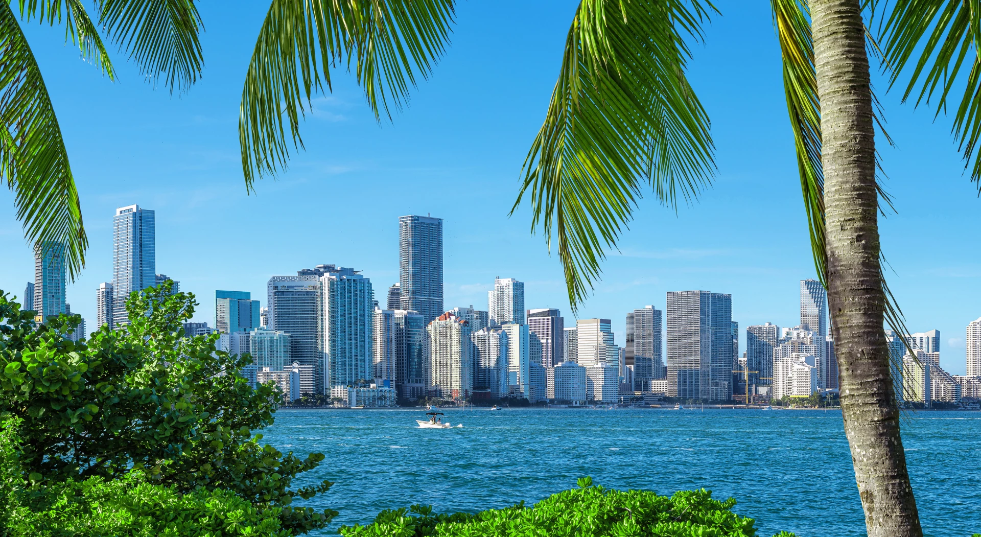 Miami and Fort Lauderdale