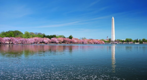 Luxury New York To Washington DC vacations