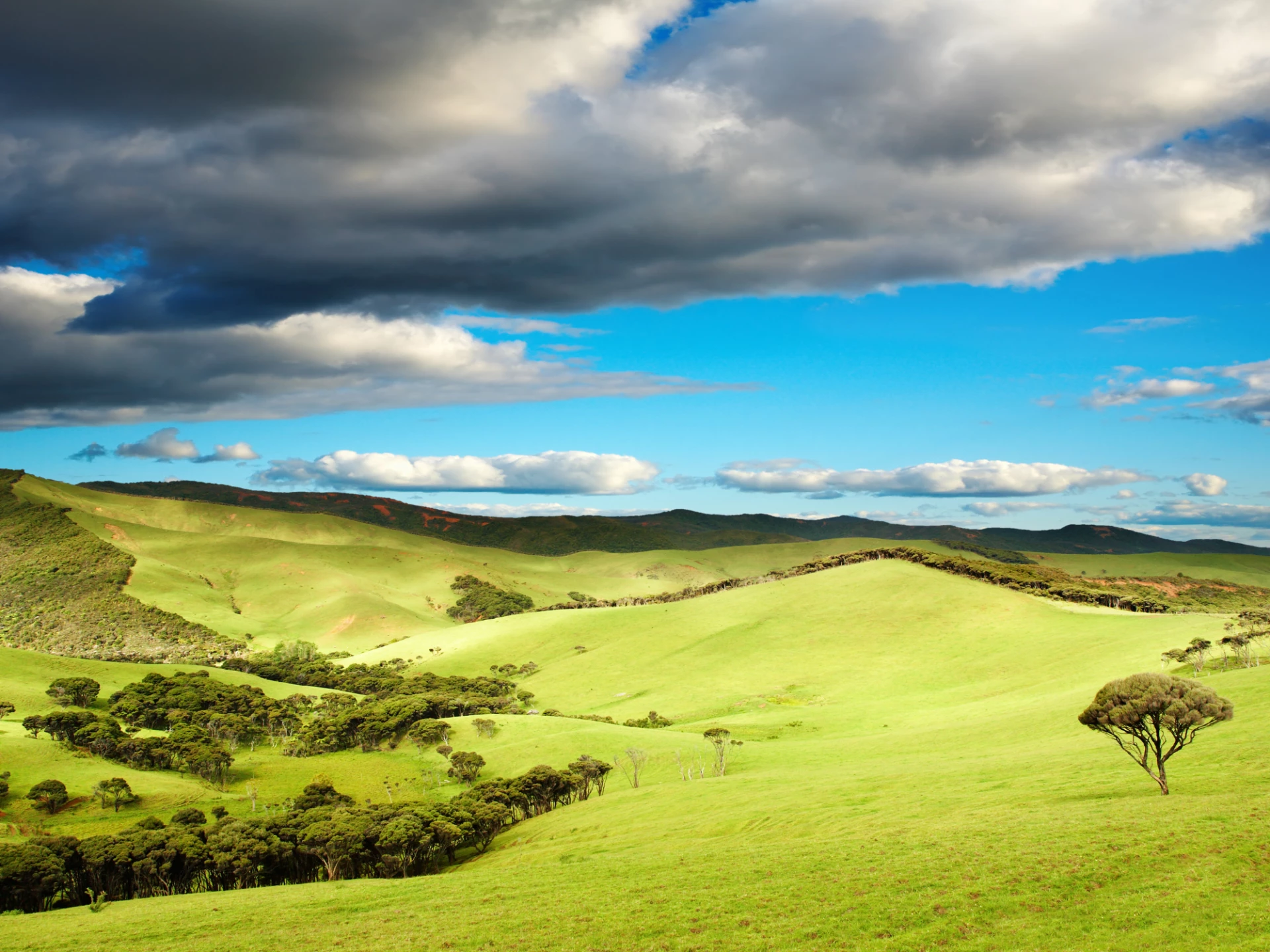 New Zealand
