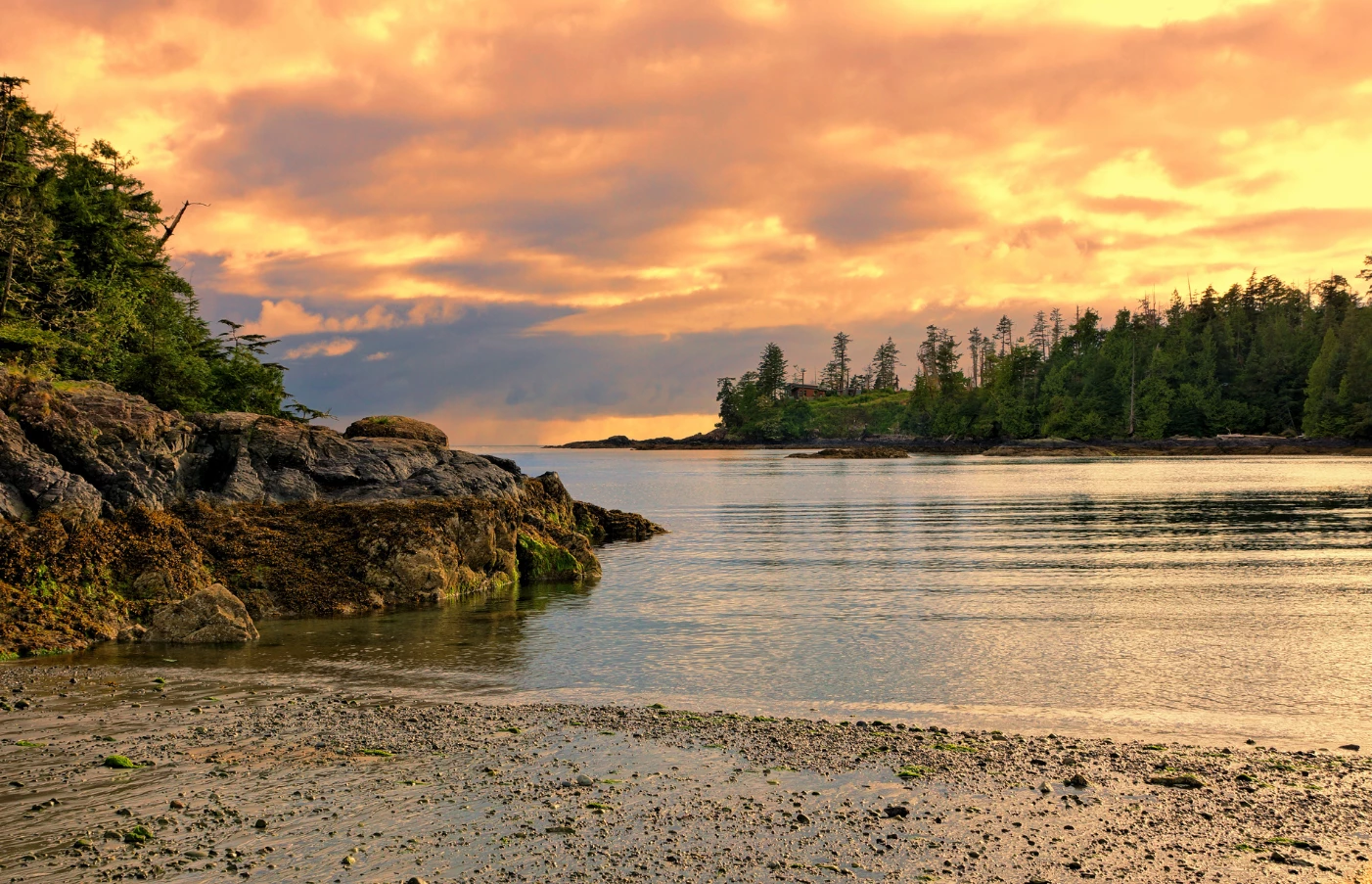 Day 3: Victoria to Tofino