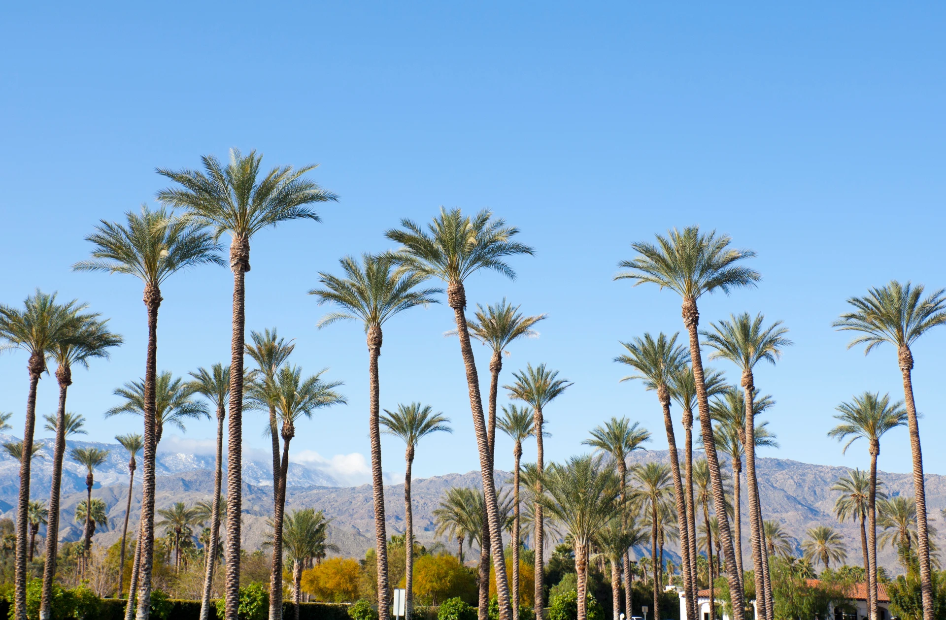 LGBTQ+ Greater Palm Springs & WeHo Getaway