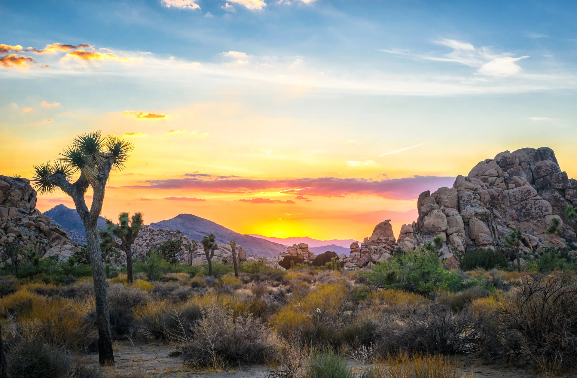 Outdoor Adventures in Palm Springs & San Diego