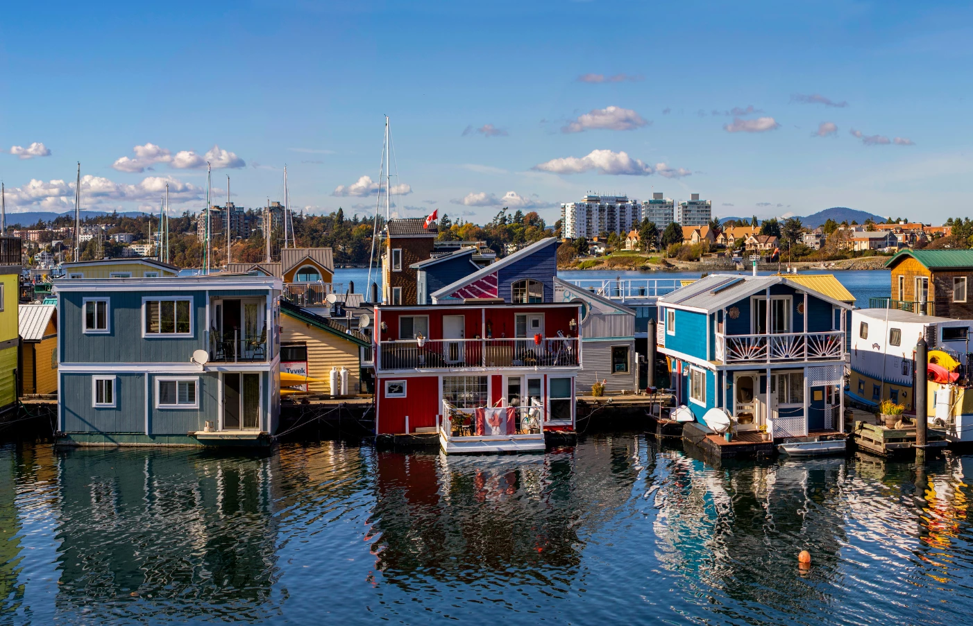 Whales, Bears and Vancouver Island