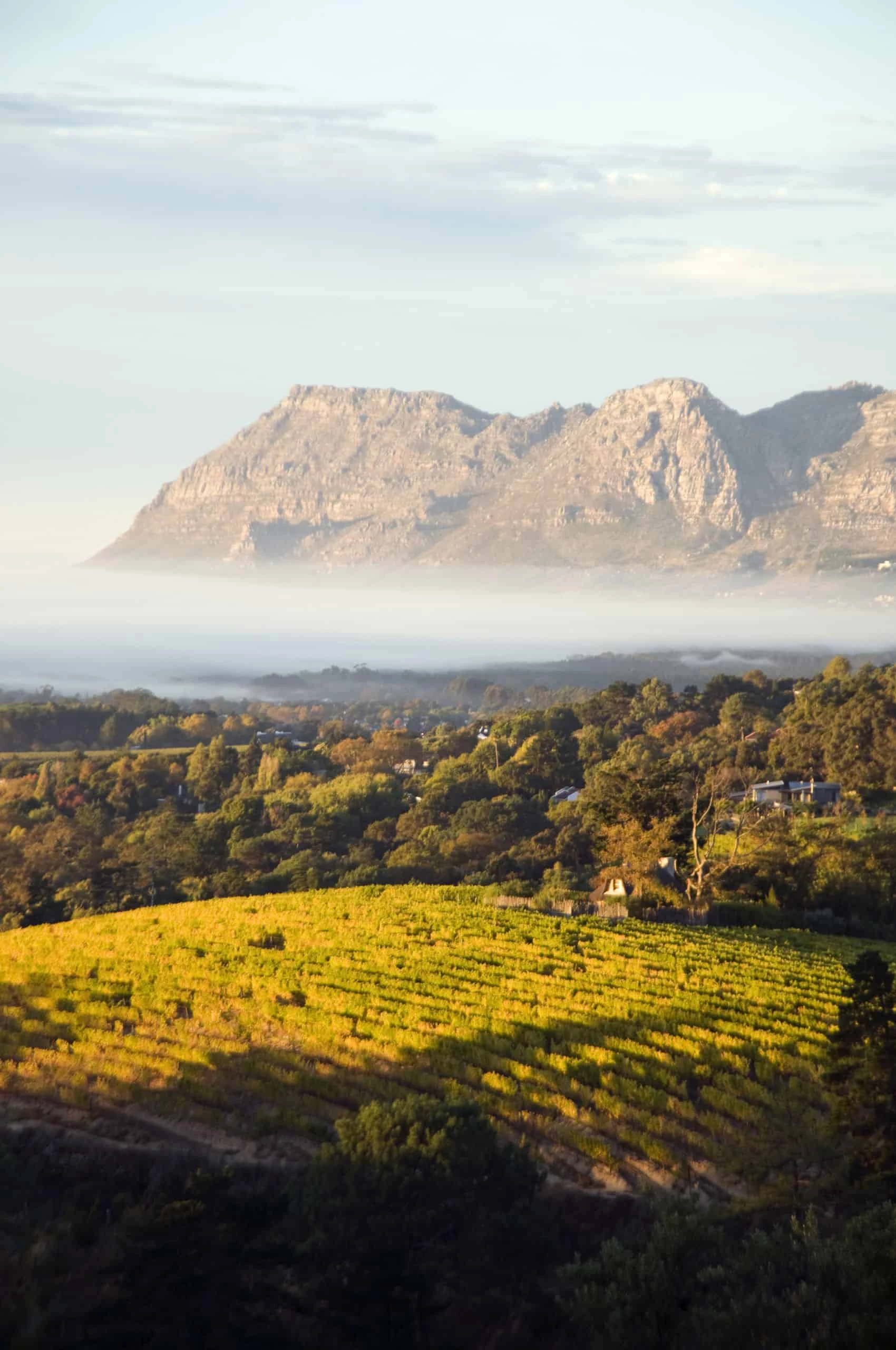 Day 1 to 3: Cape Town