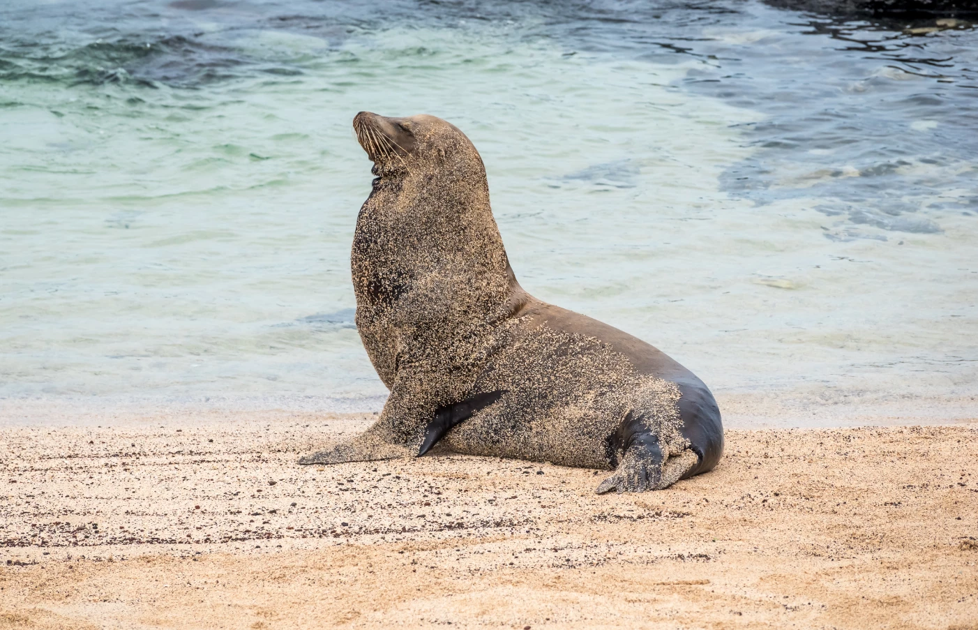 Day Two: San Cristobal Island