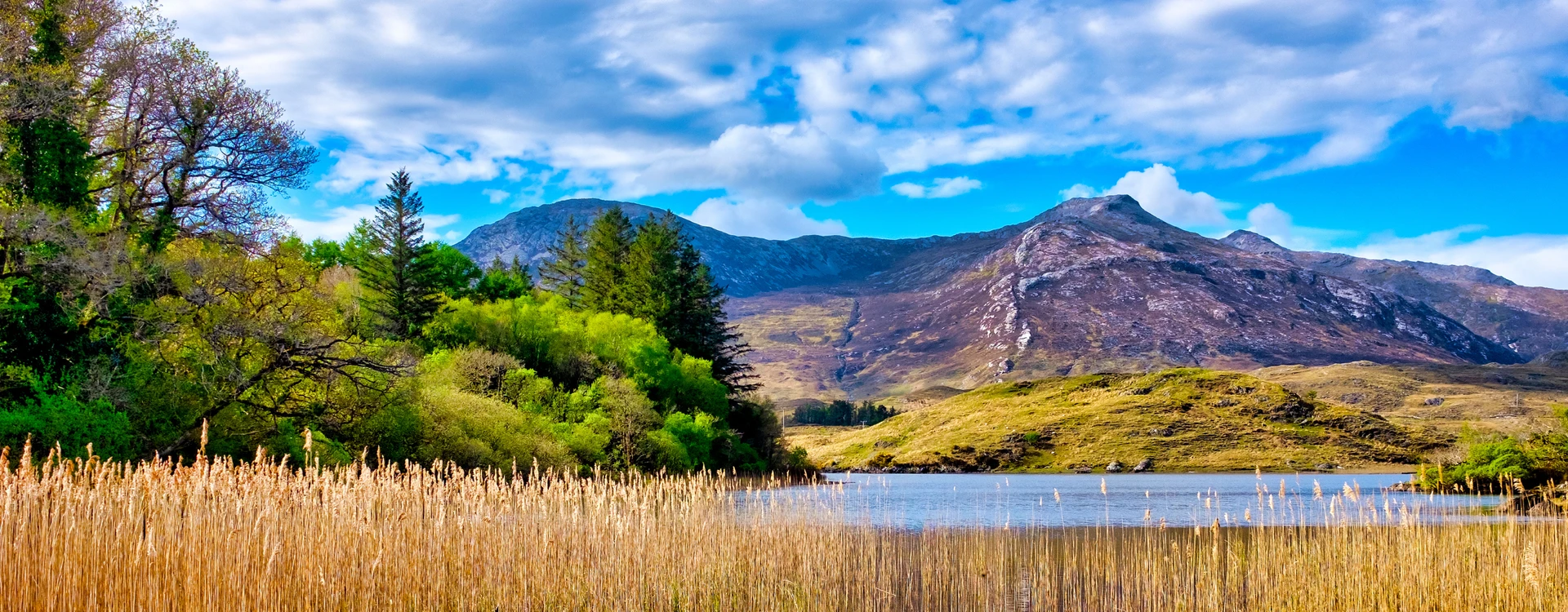 Wild Scotland and Ireland Explorer