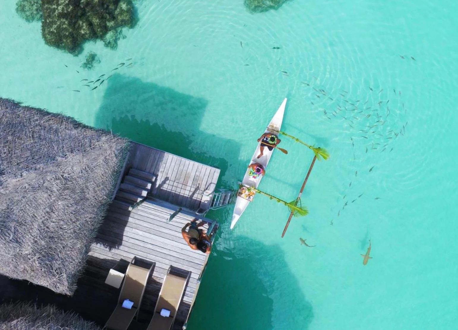 Le Tikehau by Pearl Resorts