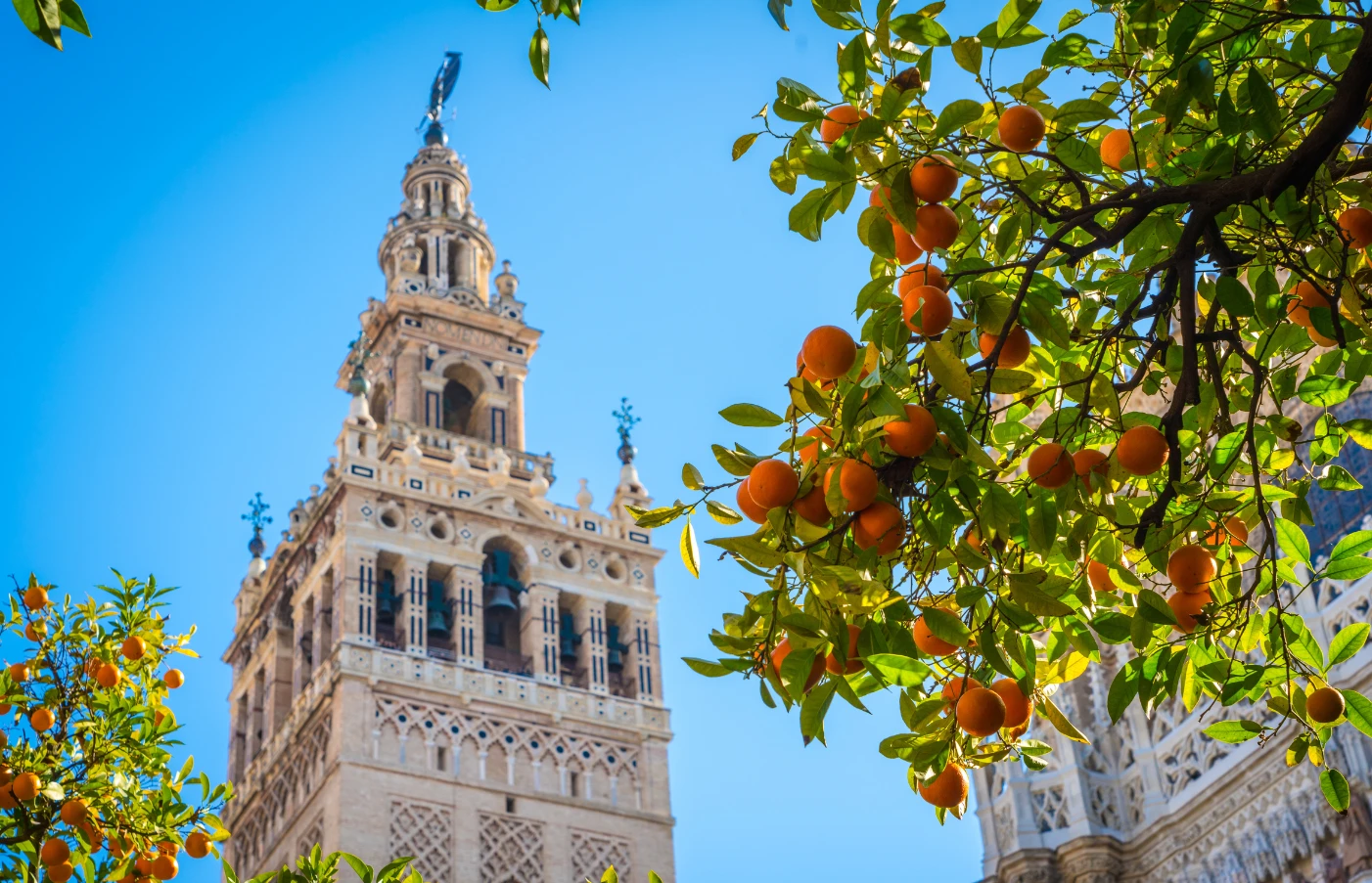 Day 1: Seville