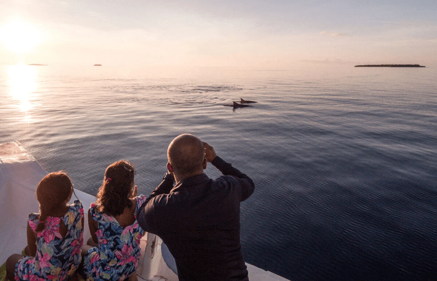 Sunset Dolphin Cruise
