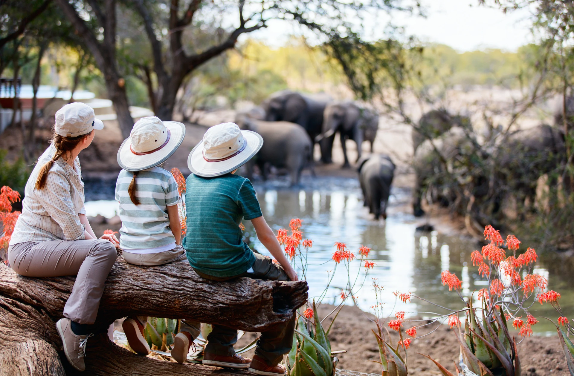 South Africa Safari Family Adventure