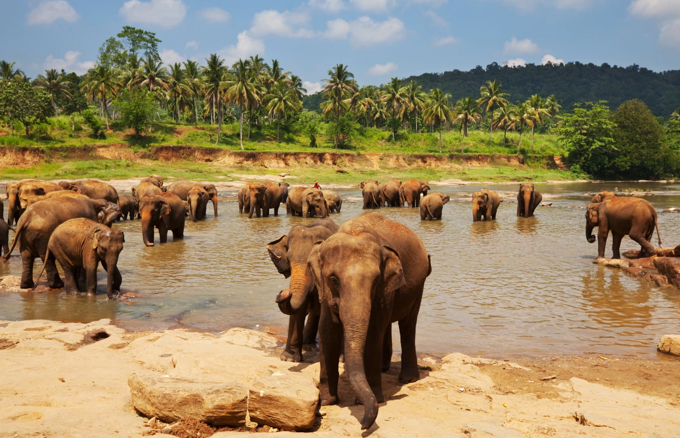 Sri Lanka: The Cultural Triangle