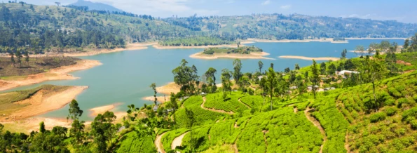 Sri Lanka: The Cultural Triangle
