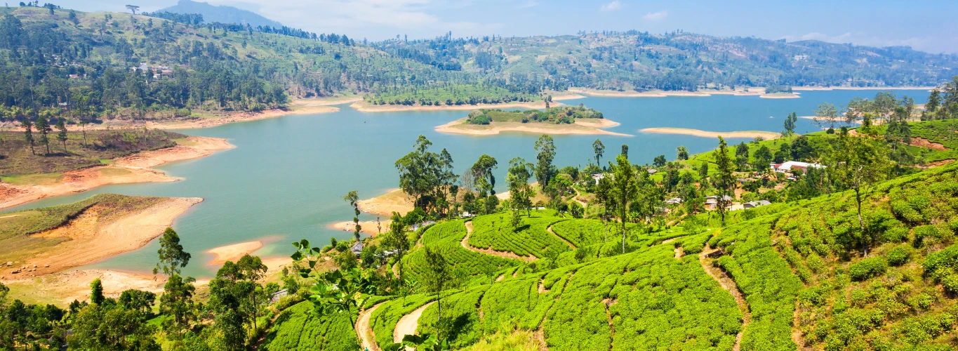 Sri Lanka: The Cultural Triangle