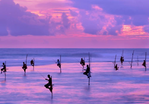 Luxury Vacations to Sri Lanka