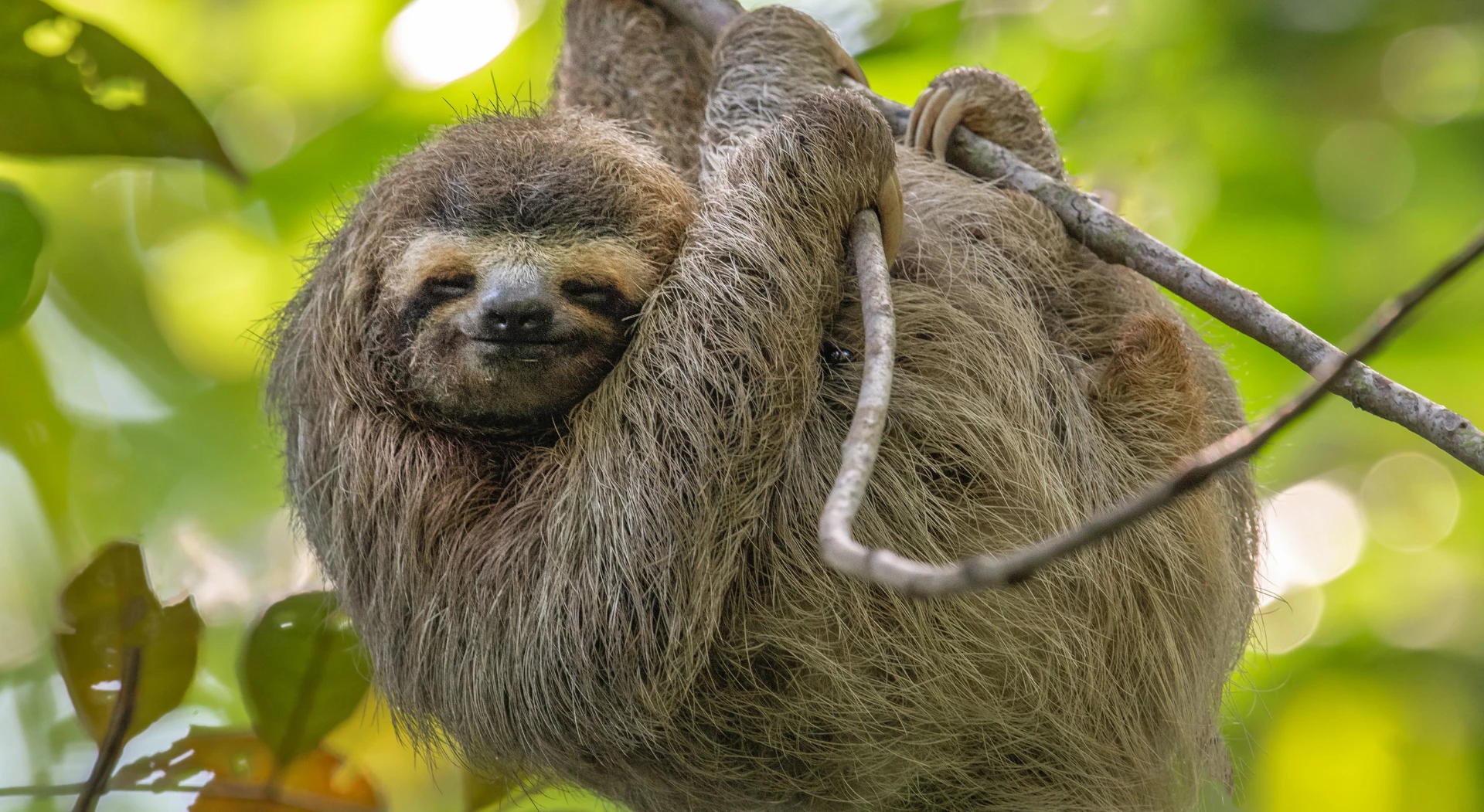 Eco-Friendly Costa Rica