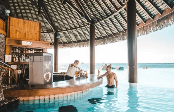 Le Louts Swim-up Bar