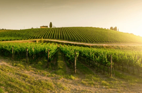La Dolce Vita: Florence and Tuscany